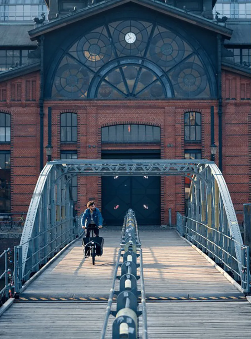 Riese and Muller Load 75 Touring Electric Bike White-7